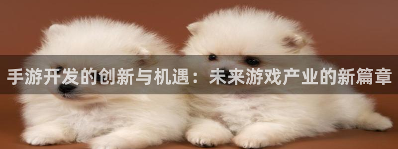 恒盛娱乐注册：手游开发的创新与机遇：未来游戏产业的新篇章