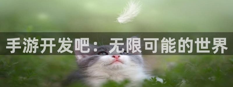 恒盛娱乐登录：手游开发吧：无限可能的世界