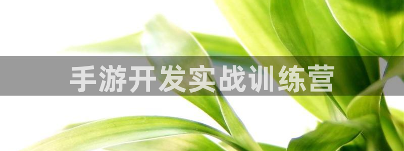 恒盛娱乐首页：手游开发实战训练营