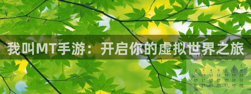 恒盛娱乐下载：我叫MT手游：开启你的虚拟世界之旅