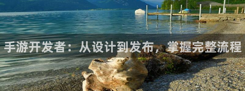 恒盛娱乐登录：手游开发者：从设计到发布，掌握完整流程