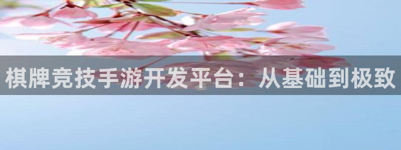 恒盛娱乐：棋牌竞技手游开发平台：从基础到极致