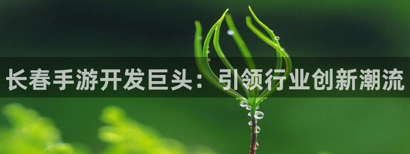恒盛娱乐登陆：长春手游开发巨头：引领行业创新潮流