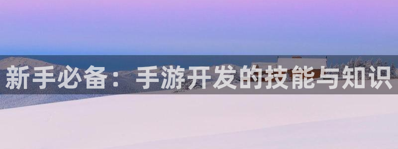 恒盛娱乐平台：新手必备：手游开发的技能与知识