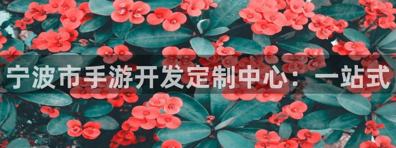 恒盛娱乐登陆：宁波市手游开发定制中心：一站式