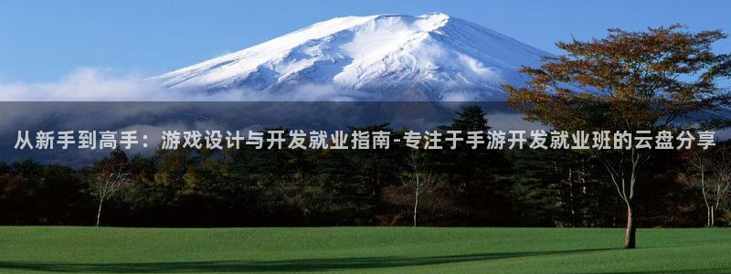 恒盛娱乐官网：从新手到高手：游戏设计与开发就业指南-专注于手