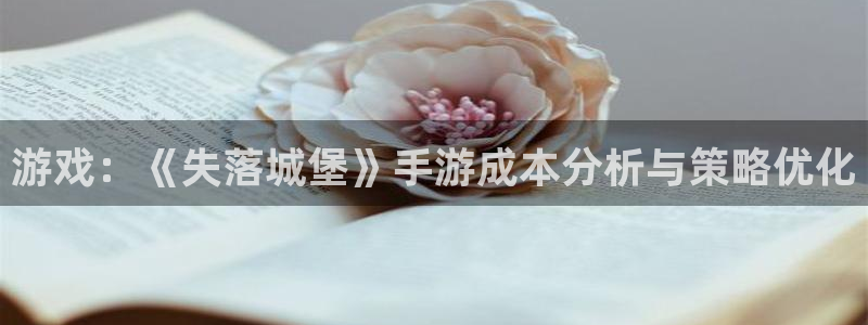 恒盛娱乐注册：游戏：《失落城堡》手游成本分析与策略优化