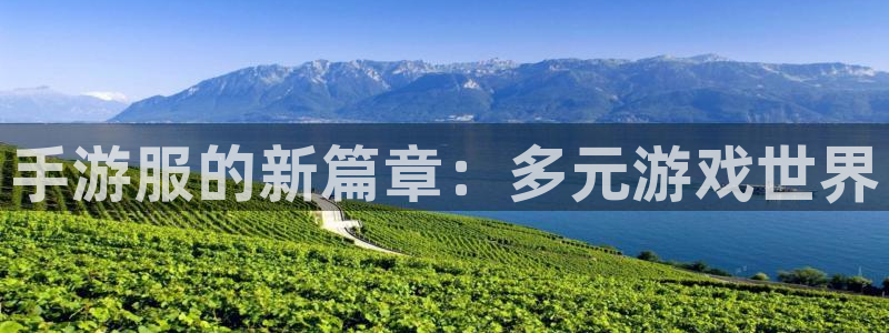 恒盛娱乐app：手游服的新篇章：多元游戏世界