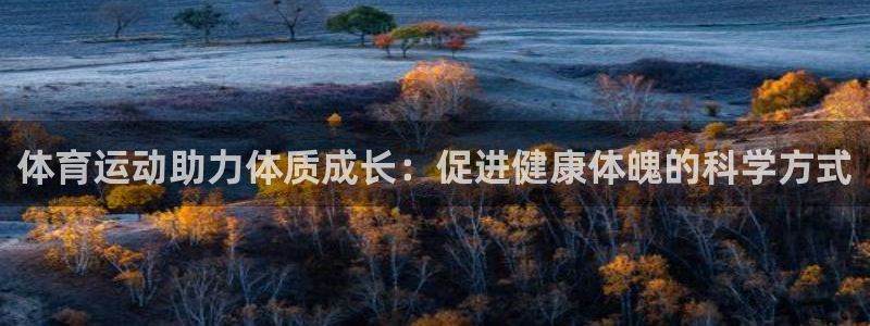 k1体育十年平台