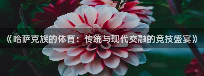 k1体育十年品牌值得信赖