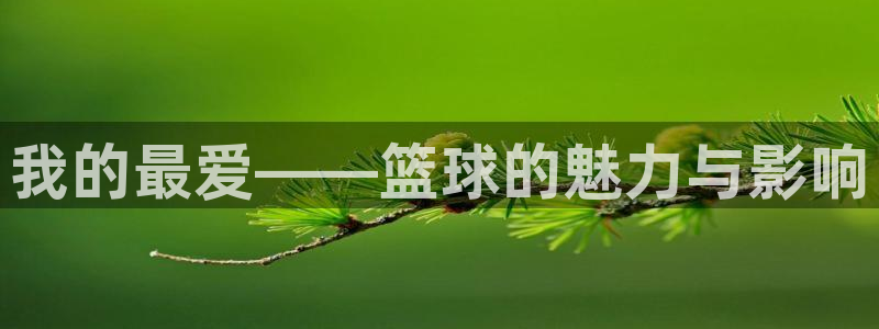 k1体育十年品牌值得信赖网址