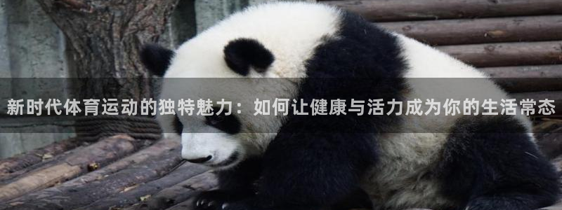 k1体育链接多少