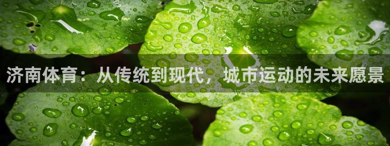 k1体育十年平台