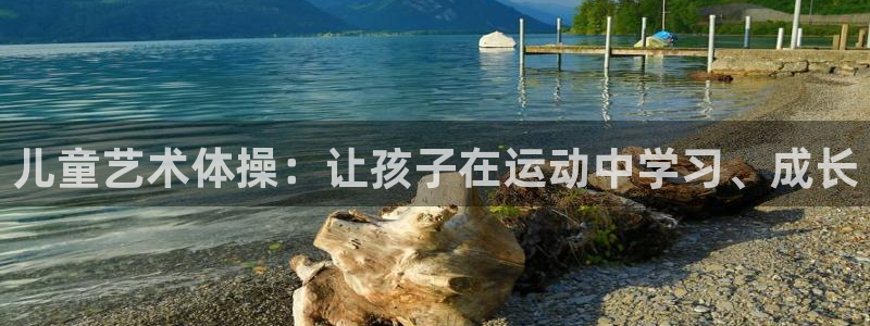 k1体育网址是多少