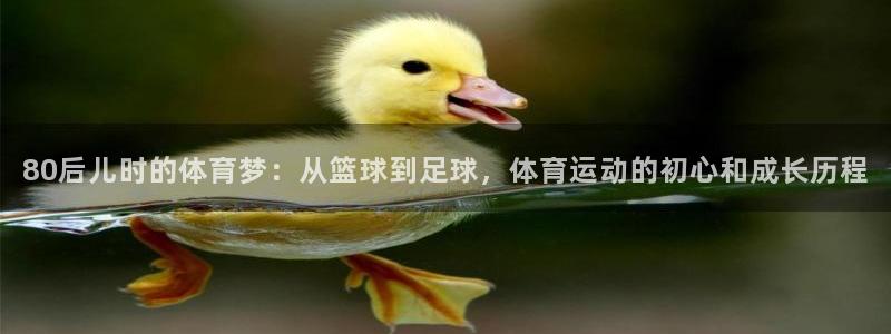 k1体育平台3915