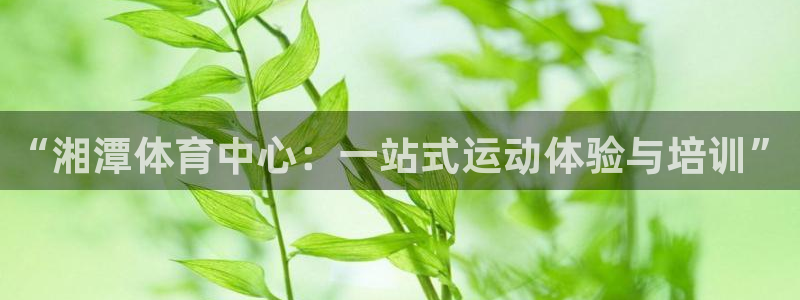 k1体育十年品牌值得信赖网址