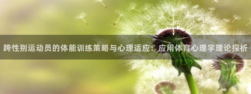 k1体育网站登录官网