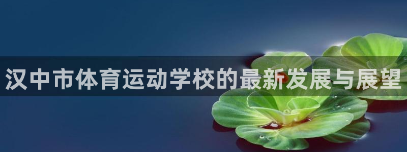 k1体育app下载链接