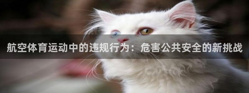 k1体育链接